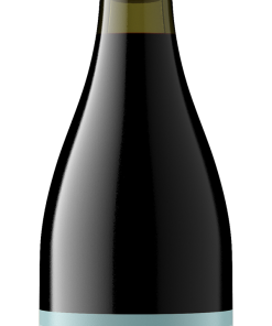 BILLSBORO WINERY PINOT NOIR
